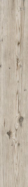 Living Tortora 15x100