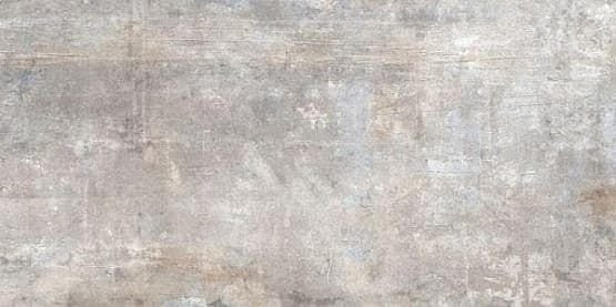 Rhs Murales Grey 40x80