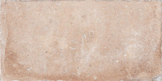 RHS Tuscany Certaldo 20.3x40.6