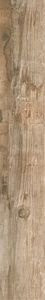 RHS Salvage Brown 15х100