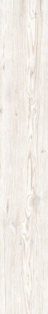 RHS Soft White 15x100