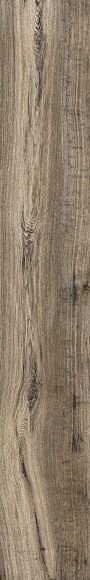 RHS Soft Ash 15х100