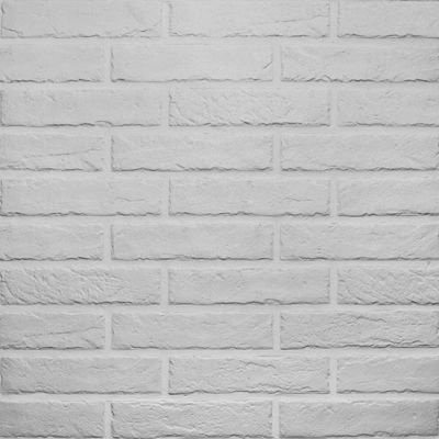 RHS Tribeca White Brick 6х25