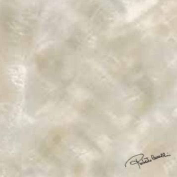 Roberto Cavalli Bright Pearl Ivory Firma Rett 80х80
