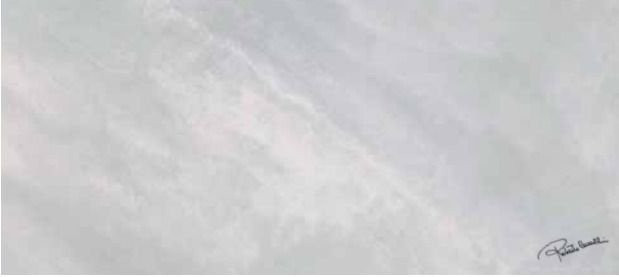 Roberto Cavalli Bright Pearl Snow Firma Rett 80х180