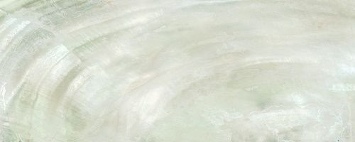 Roberto Cavalli Bright Pearl Ivory Rett 80x180