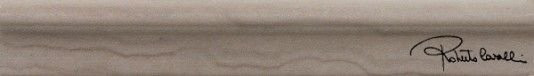 Roberto Cavalli AgataTorello Multicolor Firma 5х25