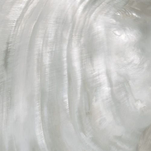 Roberto Cavalli Bright Pearl Silver Rett 80x80