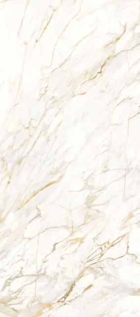 Roberto Cavalli Lush Calacatta Oro Lux 78.5x178.5