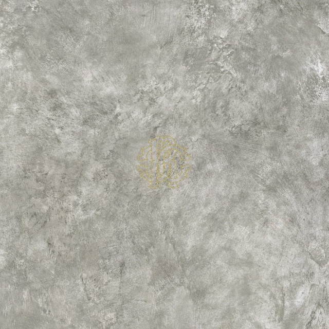 Roberto Cavalli Metal Soul Steel Logo Araldico 80x80
