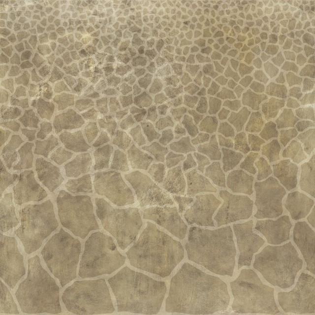 Roberto Cavalli Metal Soul Brass Giraffe 80x80