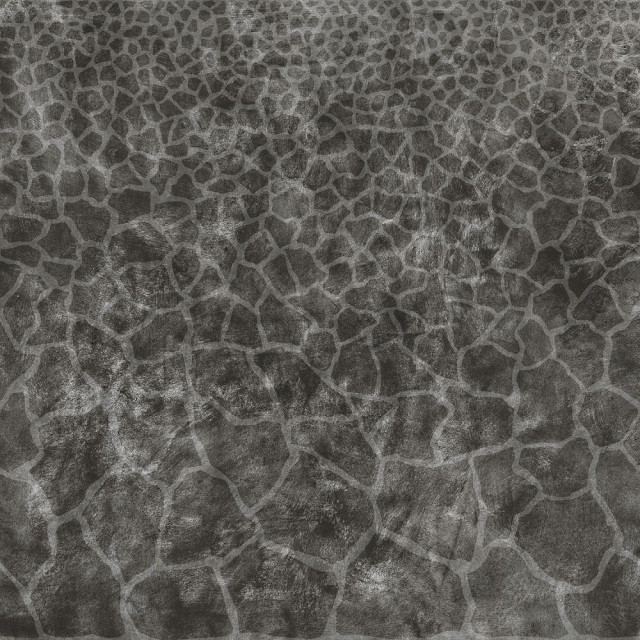 Roberto Cavalli Metal Soul Titanium Giraffe 80x80
