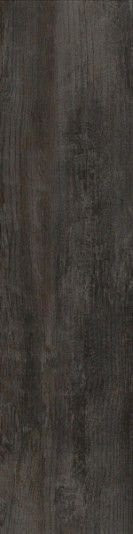 Roberto Cavalli Signoria Ebano Lapp. Rett. 25х100