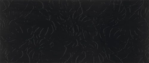 Roberto Cavalli Natural Leaves Black 32X75
