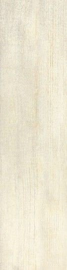Roberto Cavalli Signoria Frassino Lapp. Rett. 25х100