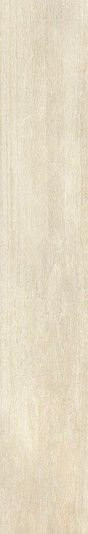 Roberto Cavalli Signoria Frassino Lapp. Rett. 16,5х100