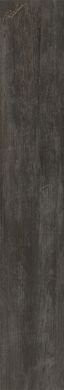 Roberto Cavalli Signoria Ebano Lapp. Rett. Firma 16,5х100