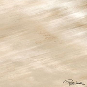 Roberto Cavalli Tanduk Conchiglia Firma Rett. 60х60