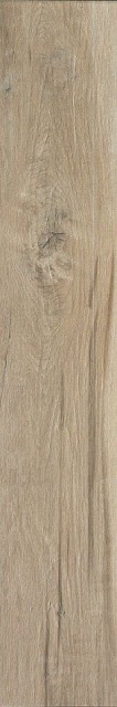 Sichenia Essenze Rovere Ret 20x120