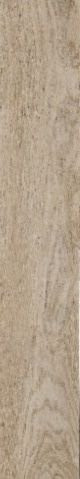 Sichenia Nordek Greige Ret 20x120