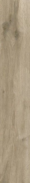 Sichenia Silvis Rovere Ret 20x120