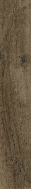 Sichenia Silvis Noce Ret 20x120