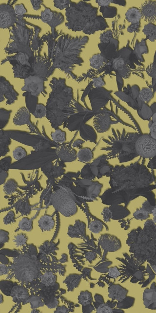 Sodai Bloom Essenza Yellow A 3.5 mm 50x100