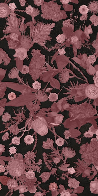 Sodai Bloom Specchio Pink A 6 mm 60x120