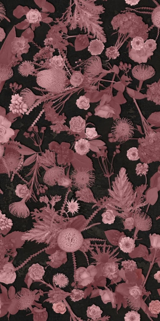 Sodai Bloom Essenza Pink B 3.5 mm 50x100