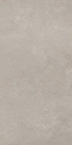 Tagina Concreta Grigio Chiaro Nat Ret 60x120