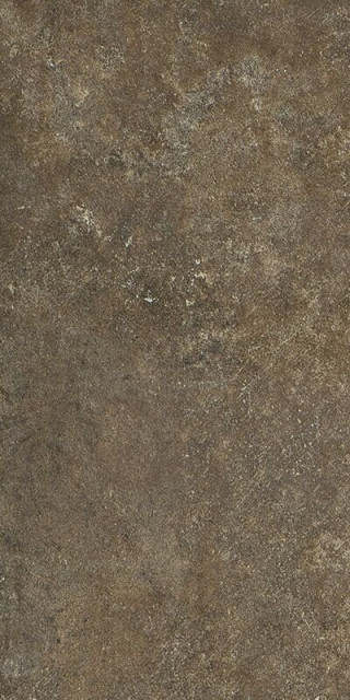 Tagina Apogeo14 8BF8J13 Dark Brown 17.25x35
