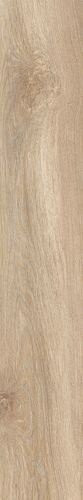 Tagina Evoque Rovere Nat Ret 20x120