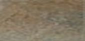 Gardenia Orchidea Absolute Stone VERDE LAP 30х60