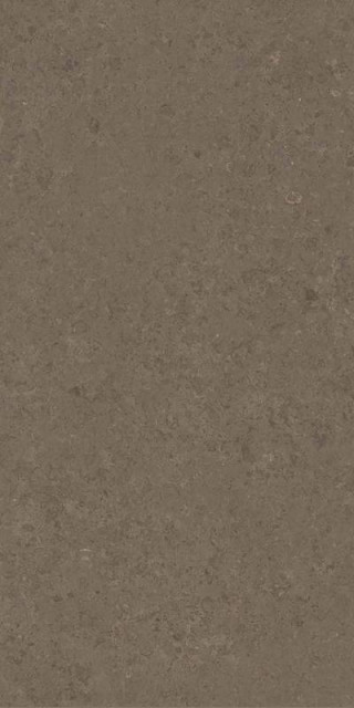 Versace V Stone Brown Lap R 60x120H0.85