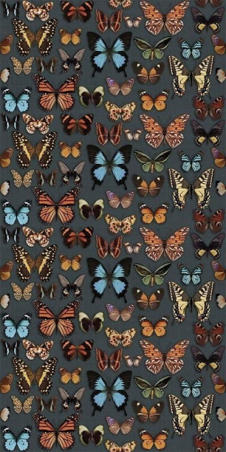 Wide&Style Papillon 160x320