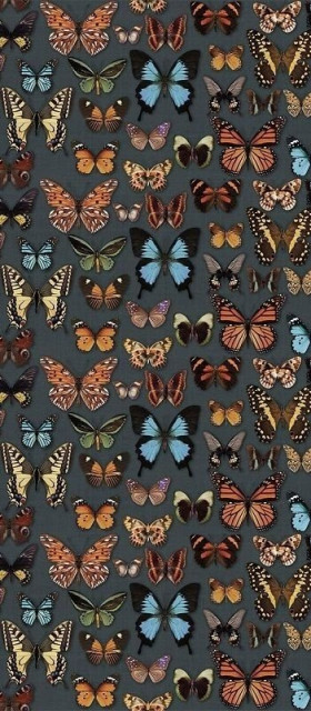 Wide&Style Papillon 120x278