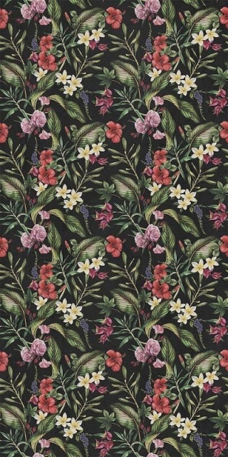 Wide&Style Tropicana 160x320