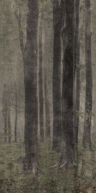 Wide&Style Woods 120x278