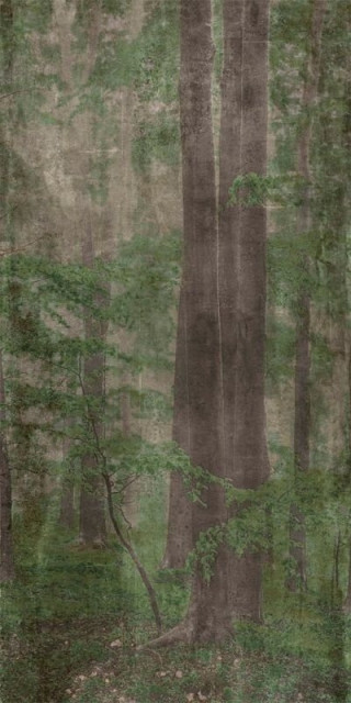 Wide&Style Woods C 160x320