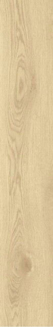 Basconi Home Acero Matt Struct 20x120H1