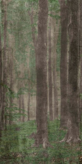 Wide&Style Woods A 160x320