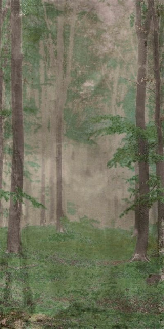 Wide&Style Woods B 120x278