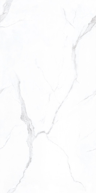 Basconi Home Carrara Polished (Sinking Ink) 8mm 60x120H0.8
