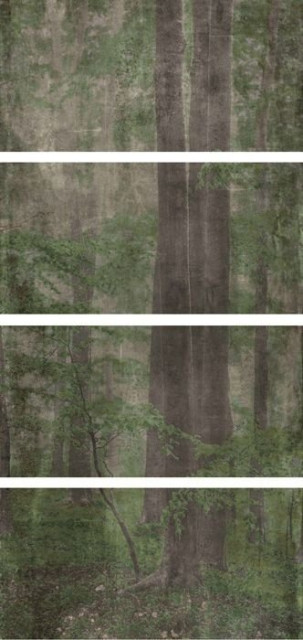 Wide&Style Woods C CP4 120x240