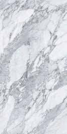Basconi Home Arabescato Pro Polished (Gold) 8mm 60x120