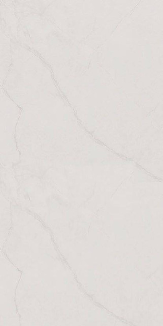 Basconi Home Cararra Silver Matt 60x120H0.92