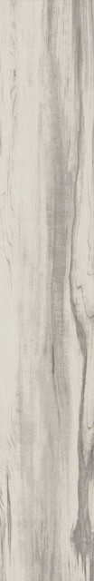 Basconi Home Poplar Matt Struct 10mm 20x120