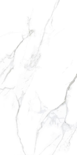 Basconi Home Statuario Matt 10mm 60x120H1