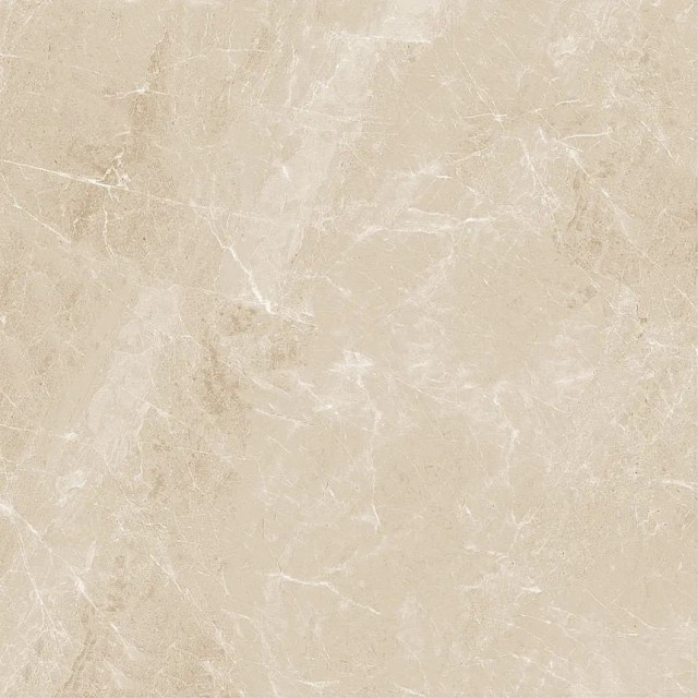 Guangdong Shenghui Ceramics Marbles JA6039OM Rect 60x60