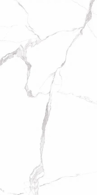 Guangdong Shenghui Ceramics Marbles SH126G001 Rect 60x120